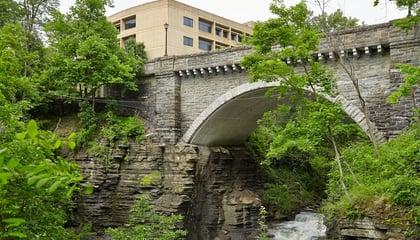 Cornell University